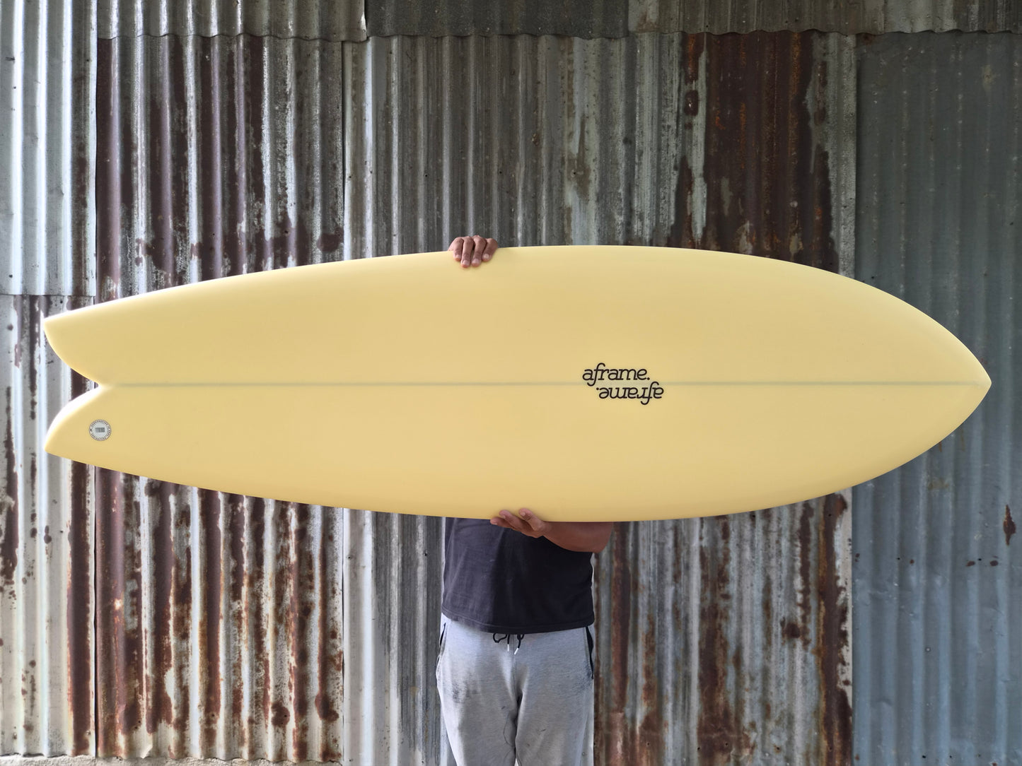 Classic San Diego Fish 5'10